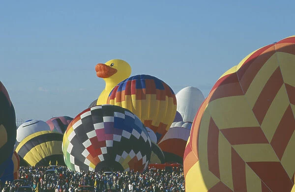 20044924. USA New Mexico Albuquerque Balloon fiesta