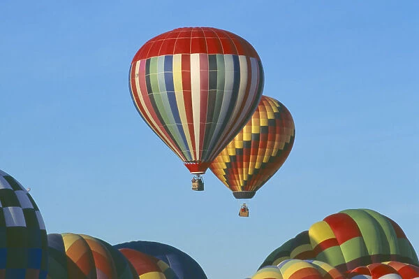 20044938. USA New Mexico Albuquerque Balloon fiesta