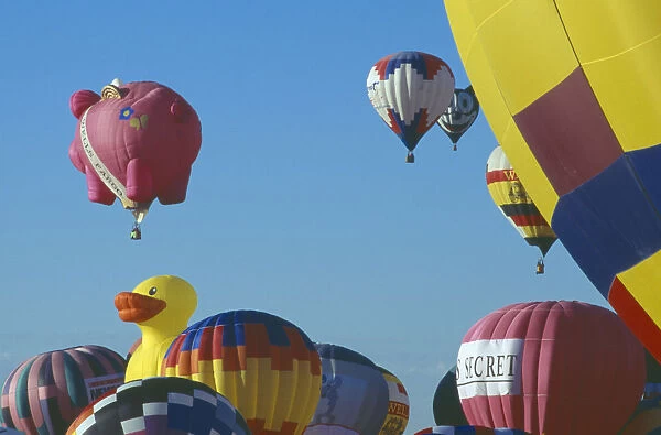 20044941. USA New Mexico Albuquerque Balloon fiesta
