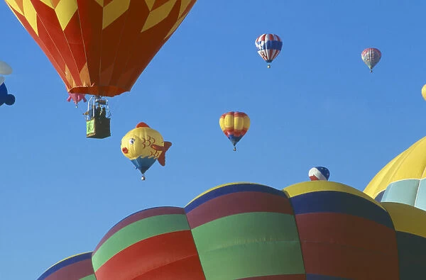 20044943. USA New Mexico Albuquerque Balloon fiesta