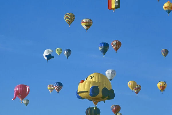 20044945. USA New Mexico Albuquerque Balloon fiesta
