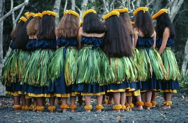 20049092. HAWAII Big Island Hula Group of Hula dancers