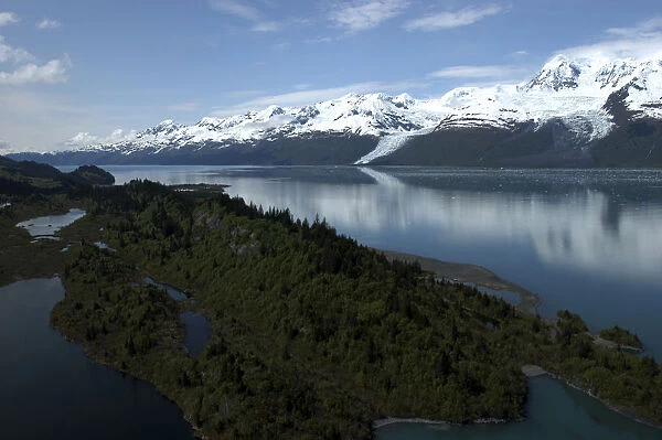 20064531. USA Alaska College Fjord View over trees