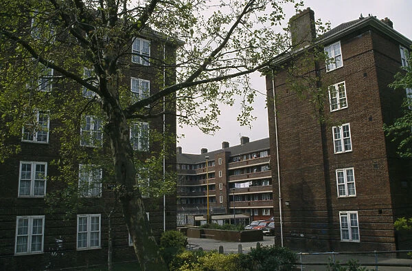 20073628. ENGLAND London Greenwich council housing with trees and public garden