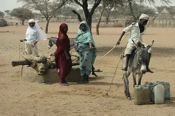 20074795. SUDAN Kordofan North People using donkey to help pull up water from well
