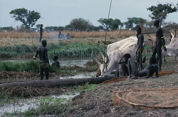 20075335. SUDAN Tribal People Dinka men fishing