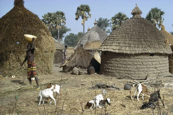 20075608. CHAD Traditional Housing Village huts with straw roofs