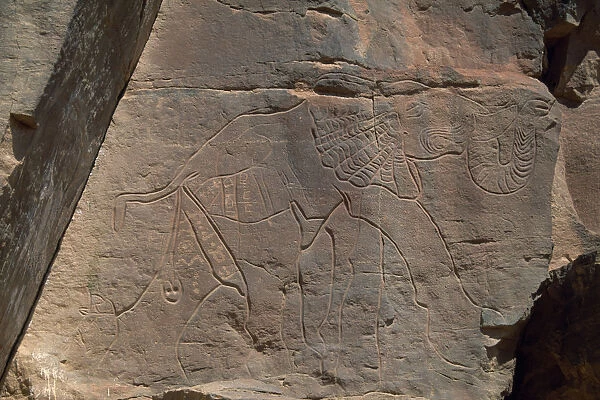20076977. LIBYA Wadi Mathendous Detail of prehistoric rock relief depicting elephant
