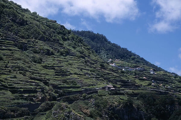 20078194. PORTUGAL Madeira Buildings built on terraced hillside seen
