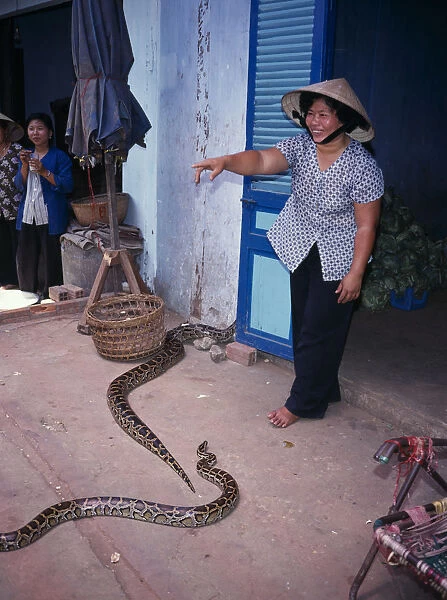 20081181. VIETNAM Mekong Delta Woman with pythons in market