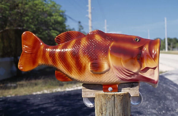 20083370. USA Florida Fish mailbox