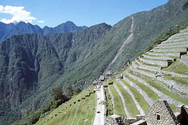20084024. PERU Cusco Department Machu Picchu Terraces on Machu Picchu mountainside
