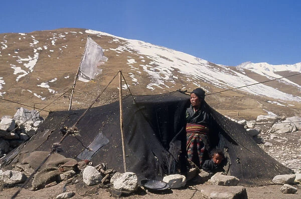 20085494. NEPAL Mustang Nomads Tibetan nomad encampment on the high plateau woman