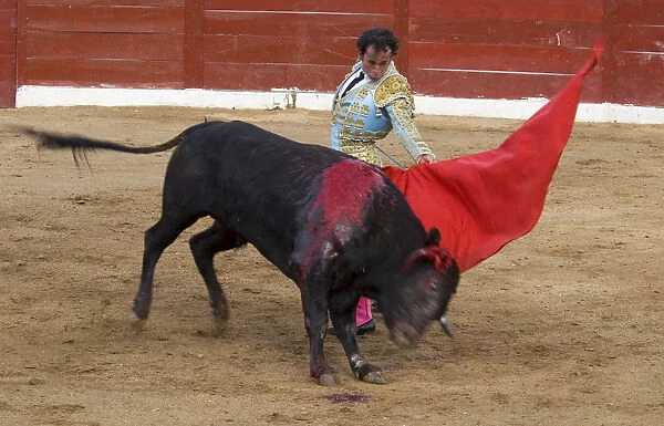20088368. MEXICO Jalisco Puerto Vallarta Bullfight