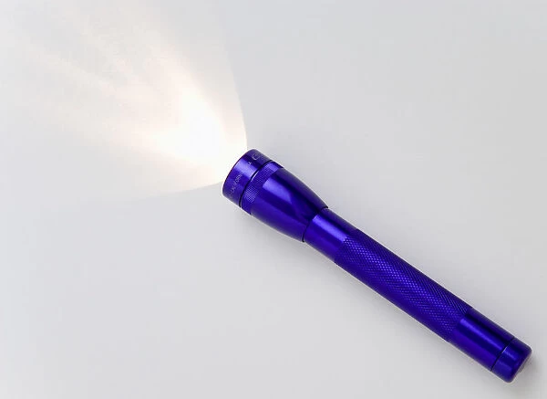 20089130. TOOLS Household Torch Purple magilite torch turned on