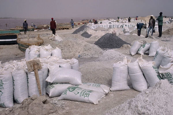 20089498. SENEGAL Lac Rose Bags of salt on salt flats with workers behind