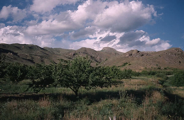 ARMENIA, Vaik Region, Agriculture Landscape with apricot orchard