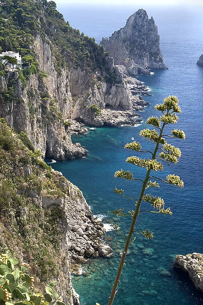 Capri Town. View towards Faraglioni Rocks from Augustus Gardens