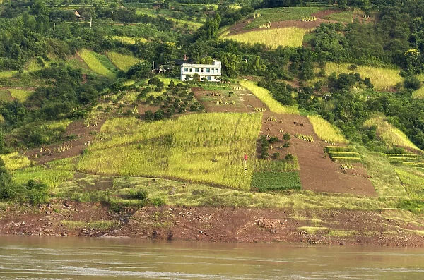 China, Chongqing, Yangtze Rich farmland on the banks of the Yangtze River near the