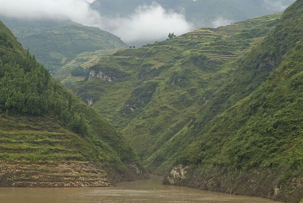 China, Hubei, Three Gorges Terraced hillsides in the Wu Gorge