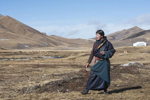 China, Tibet, Young woman from a nomad family on a highland pasture