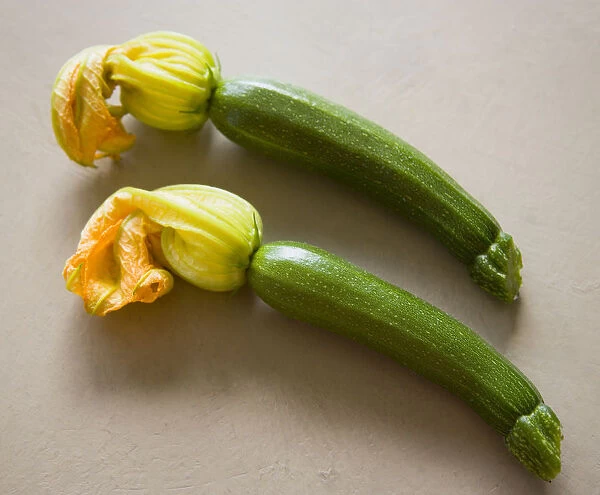 Courgette, Curcubito pepo, two freshly harvested zucchini with flowers intact