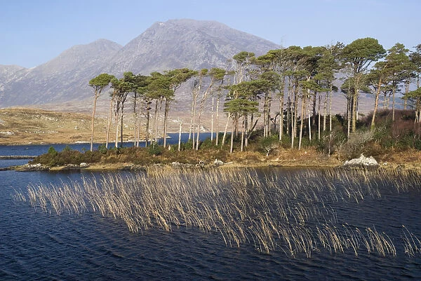 Derryclare Lough with Maumturk Mountains behind
