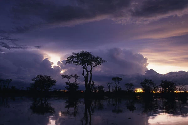 Dramatic purple and blue sunset over silhouetted Ghost trees reflected in summer storm waters