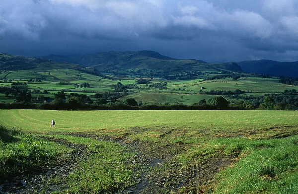 England, Cumbria, Lake District, View across green field from Blencathra centre towards Saddle Beck and Lowrigg