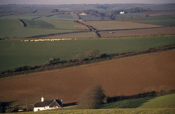 ENGLAND, Devon, Agriculture Agricultural landscape and field patterns with white