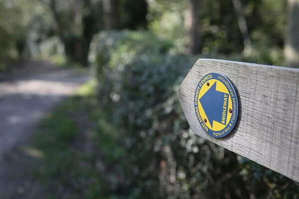 England, East Sussex, Wooden public bridleway sign in the countryside