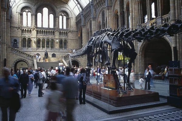 ENGLAND London Kensington, Natural History Museum. Interior view of main hall with
