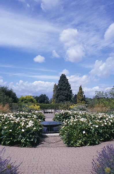 ENGLAND Surrey Woking Wisley Royal Horticultural Society Garden View through path into