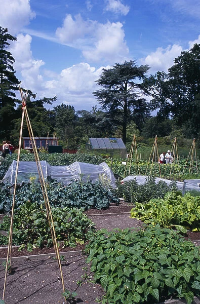 ENGLAND Surrey Woking Wisley Royal Horticultural Society Garden