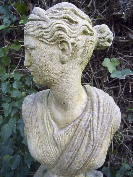 Gardens Ornaments Statue Bust Woman Against Ivy