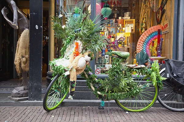 Holland, North, Amsterdam, Bike decorated with dope leaves outside shop