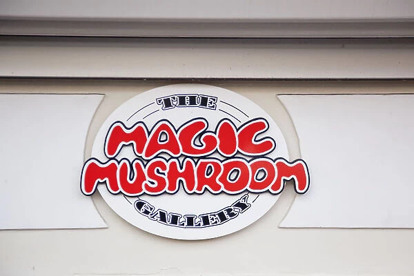 Holland, North, Amsterdam, Magic Mushroom Gallery sign