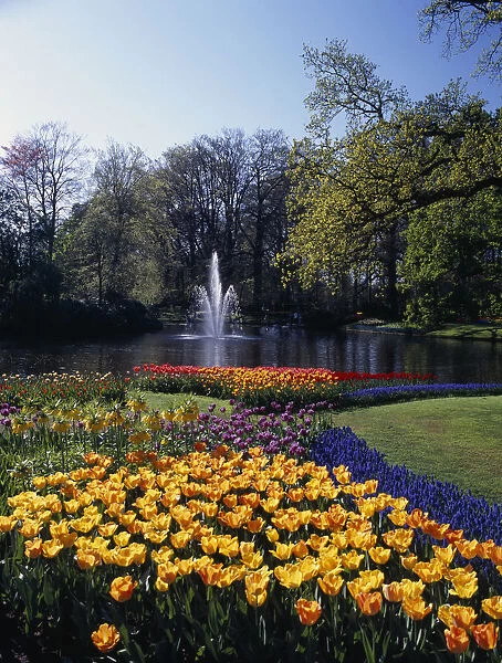 HOLLAND, South, Lisse Keukenhof Gardens. Fountain in the parks lake surrounded by