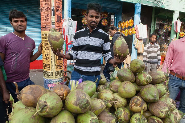India, Bihar, Gaya, Coconut vendor