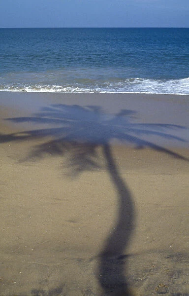 India, Sri Lanka, Shadow of single palm tree cast over sandy beach near Galle