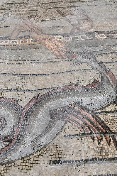 Italy, Friuli Venezia Giulia, Aquileia, mosaic detail of Jonah & the Whale