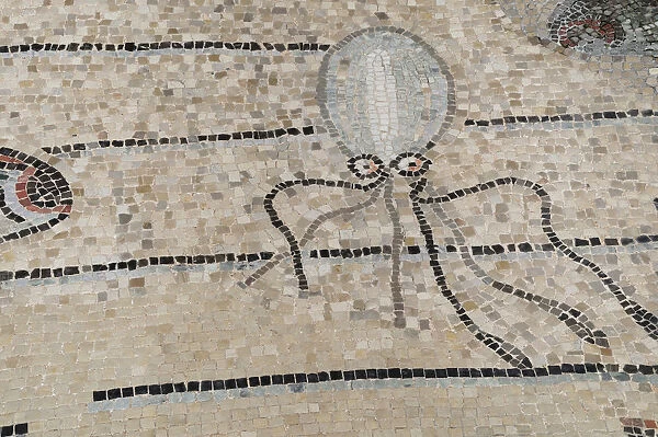 Italy, Friuli Venezia Giulia, Aquileia, octopus mosaic detail