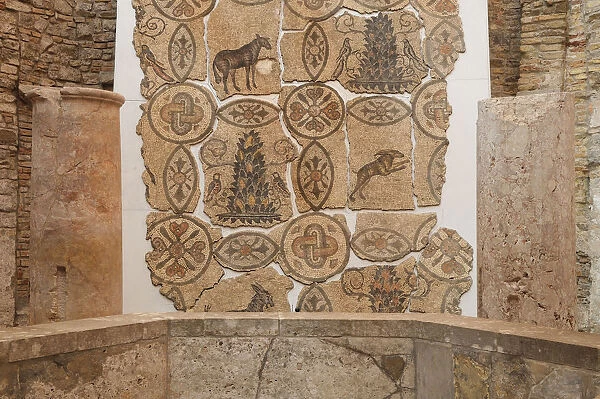 Italy, Friuli Venezia Giulia, Aquileia, mosaic collection in the Baptistry