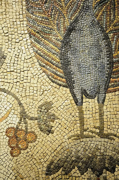 Italy, Friuli Venezia Giulia, Aquileia, peacock mosaic detail