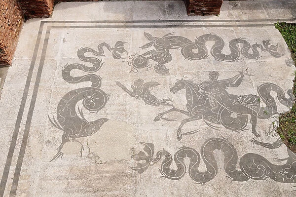 Italy, Lazio, Ostia Antica, mosaics from the Baths of Neptune