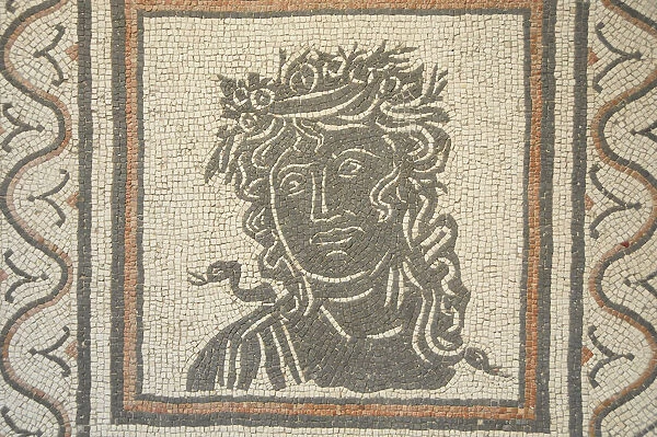 Italy, Lazio, Rome, Esquiline Hill, Palazzo Massimo, Museo Nazionale Romano, mosaic of serpent headed God, second floor