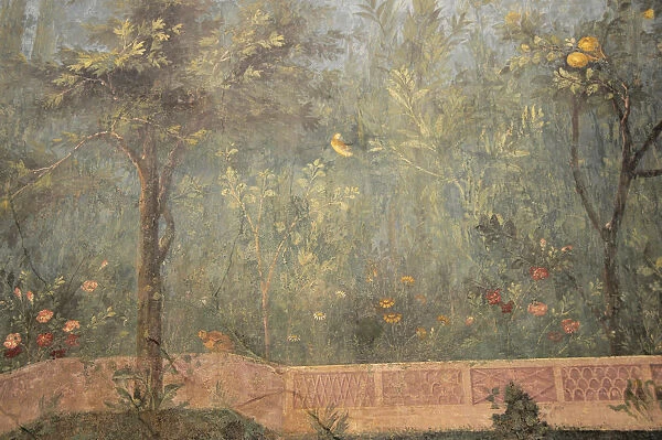 Italy, Lazio, Rome, Esquiline Hill, Palazzo Massimo, Museo Nazionale Romano, wall paintings from the House of Livia (second floor)