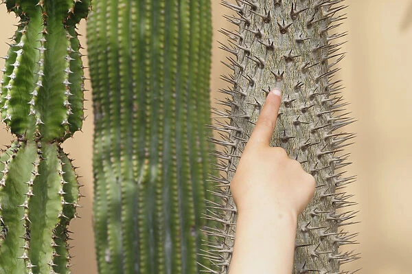 Italy, Lazio, Rome, Trastevere, Orto Botanico (Botanical Gardens), cacti plants with childs finger pointing