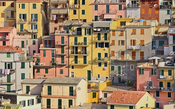 Italy, Liguria, Cinque Terre, Manarola, A section of the towns colourful housing bathed