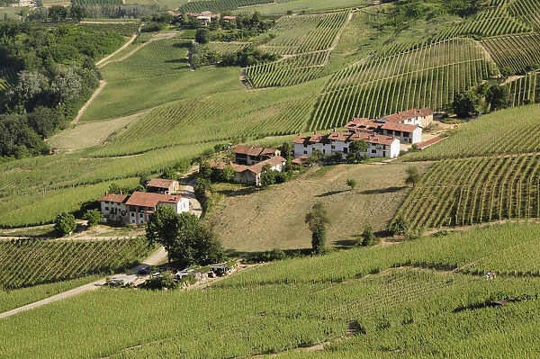 Italy, Piedmont, Langhe, views across landscape of Langhe region from Al Morro